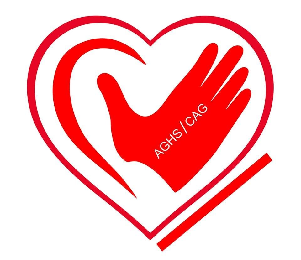 Logo Collège Andrew Grene